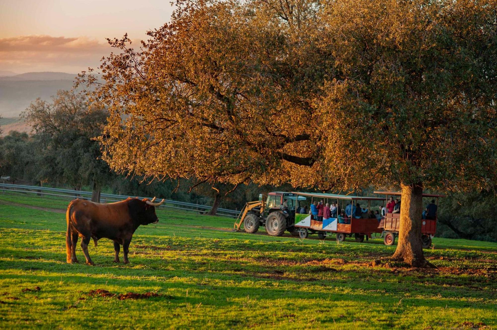 Finca El Cotillo Линарес Экстерьер фото